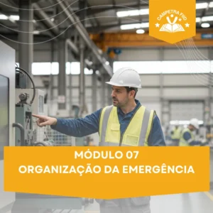 MÓDULO 07- Organização da Emergência
