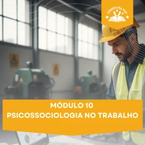 MÓDULO 10 - Psicossociologia no Trabalho